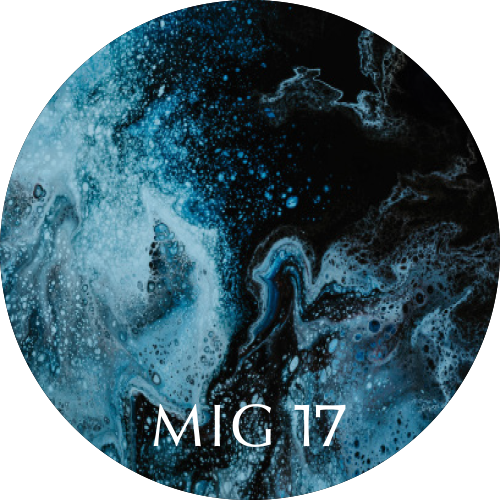 Ihre Chance MIG 17 sub